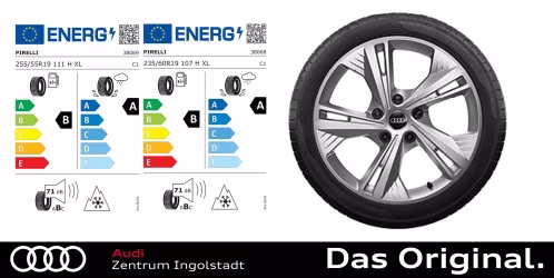 Original Audi Q6 e-tron / S Q6 e-tron 19 Zoll Winterkomplettradsatz 5-Doppelarm-Flag