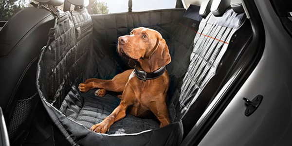 Audi Hundezubehör
