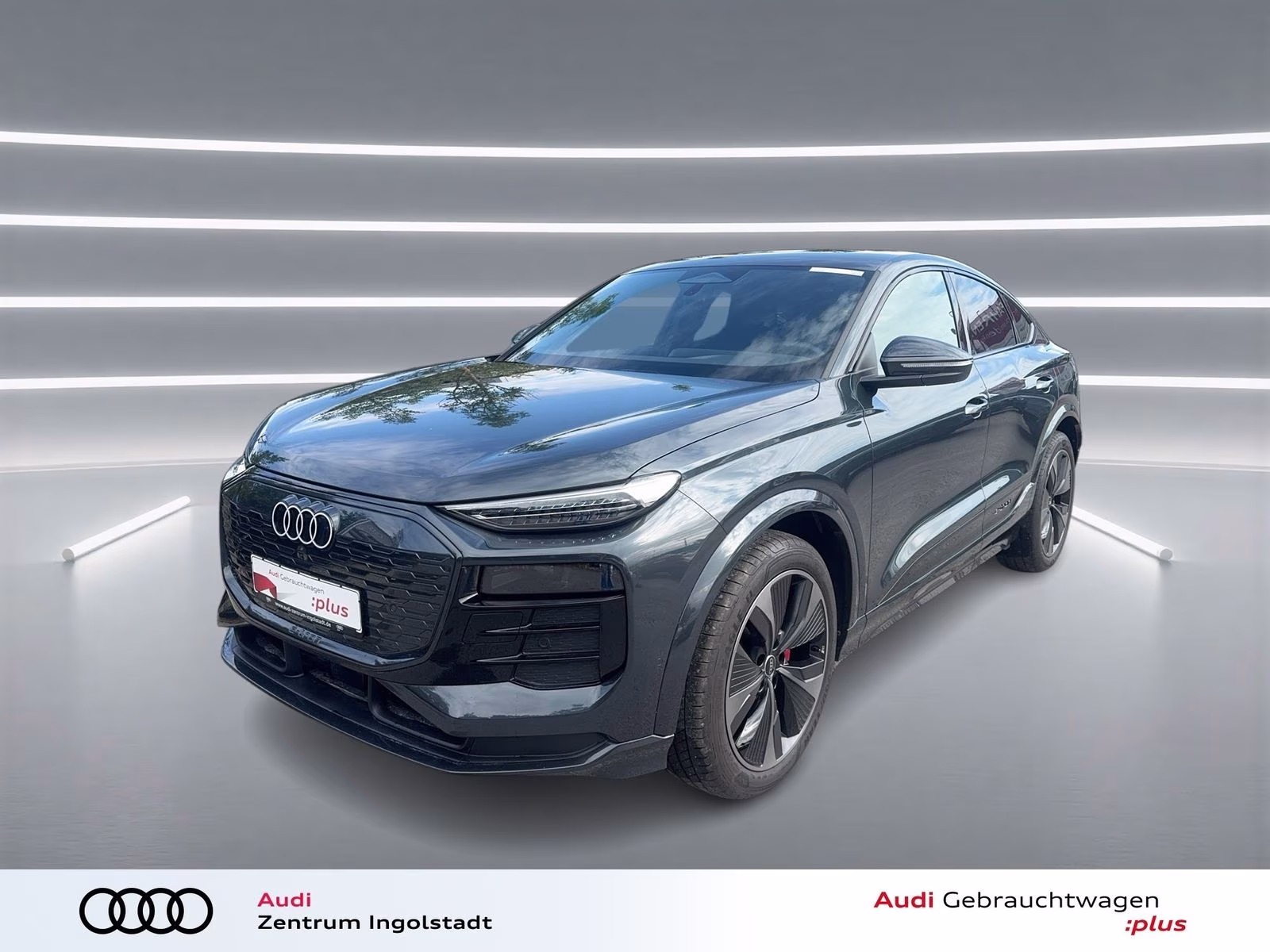 Q6 Sportback e-tron qu Tech pro AHK MATRIX LUFT