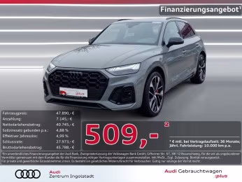 TDI qu MATRIX Pano KAMERA B&amp;O HuD Memory 21"