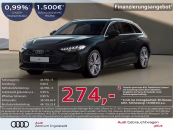 Avant TDI TECH AHK PANO LED Memory Kamera 19"