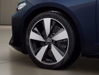 Avant TDI qu Tech+ AHK MATRIX 360° PDC 19"