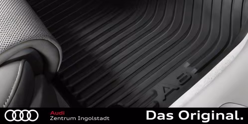 Original Audi A8 (4H) Gummifußmatten Vorne 4H1061501  041