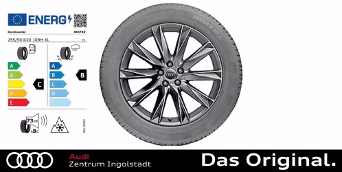 Original Audi e-tron / Q8 e-tron 20 Zoll Winterkomplettradsatz 10-Speichen-Lamina, schwarz  9,0Jx20 255/50 R20 109H XL ContiWinterContact TS850P AO