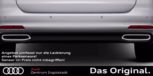 Lackierung eines Parksensors in Fahrzeug Farbe (Sensor nicht im Preis inbegriffen!)