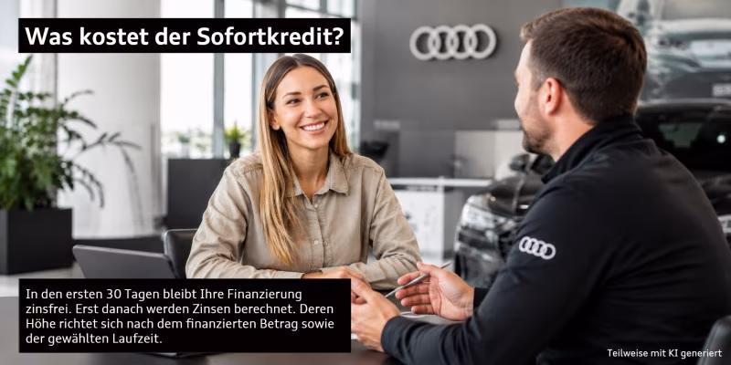 Sorgenfreie Couch im Gespr&auml;ch mit einem Audi Serviceberater